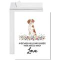 Pet Sympathy Card with Envelope Sorry For Your Loss Card Brittany Loss Of Pets Dog Grief Bereavement Card with Big Blank to Send to Friends Family 8.5 x 11 1-Pack