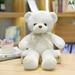 Qyiloy Bear Plush Toys Stuffed Teddy Bear Soft Bear Wedding Gifts Baby Toy Gift Kids