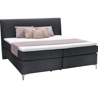 Boxspringbett ALINA "Pamir", schwarz (anthrazit dfn, dfh 139), B:174cm L:215cm, Samtstoff DFN (100% Polyester), Samtstoff DFH (100% Polyester), Komplettbetten, Boxspringbett, inklusive Matratze und Topper, in diversen Ausführungen Image