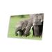 Latitude Run® Gladyce African Elephant Juvenile & Calf, Ol Pejeta Conservancy, Kenya II by Tui De Roy /Acrylic in Black/Gray/Green | Wayfair