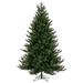 Vickerman 725917 - 7.5' x 58" Artificial Washington Fra 3024 Tips Unlit Christmas Tree (G230875)