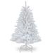 4.5 ft. Dunhill® White Fir Tree