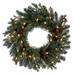 Vickerman 24" Blue Spruce Pine Cone Artificial Pre-Lit Wreath, 50 Dura-Lit® Warm White LED Mini Lights. - Warm White