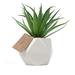 Artificial Succulent - Fake Succulent in Planter - Faux Succulent with Ceramic Geometric Planter - Artificial Potted Plant (1 Pack Agave Macroacantha)