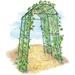 Gardenerâ€™s Tall Garden Arch Arbor 80in Squash Tunnel | Lightweight Metal Garden Arch Trellis Plant Stand for Climbing Vines | Outdoor Lawn Tower & Garden Support Structure