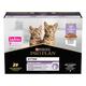10x85g Kitten Healthy Start Purina Pro Plan Wet Cat Food | Turkey in Gravy