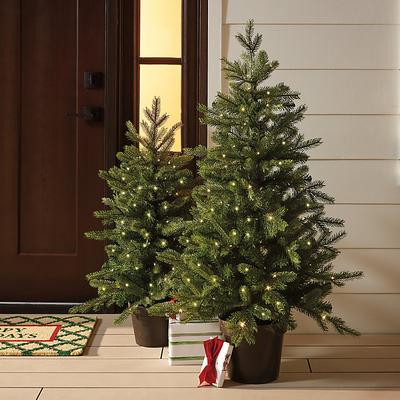 Prelit Grandis Fir Potted Tree - 47" - Ballard Designs