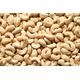 Cashew Nuts 22.68kg - 100% Raw Whole Cashews kg Bag Large Bulk Box - Quality Nut - Source of Protein & Fibre - Non-GMO & Vegan PURIMA