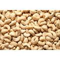 Cashew Nuts 22.68kg - 100% Raw Whole Cashews kg Bag Large Bulk Box - Quality Nut - Source of Protein & Fibre - Non-GMO & Vegan PURIMA