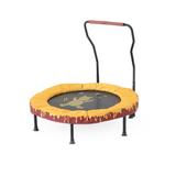 Skywalker Trampolines 36" Winnie The Pooh Folding Mini Trampoline in Yellow | Wayfair SWB36-WP