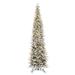 Vickerman 736036 - 10' x 37" Artificial Frosted Tacoma Fraser 700 Warm White LED Lights Christmas Tree (G236686LED)