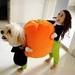 Halloween Dog Costumes Pumpkin Funny Pet Dog Cat Clothes - Carrying Pumpkin Costume Fancy Puppy Apparel Jacket Halloween Costumes Pets Clothing for Dogs and Cats XXL