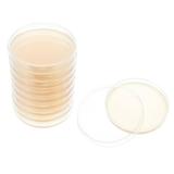 NUOLUX 10pcs Pre-Poured Agar Plates Labs Petri Dishes with Agar General Growth Medium