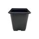 Oakland Gardens Square Plant Pots 1 Litre Plastic Flower Hydroponic Pot (300 x 1 Litre Square Pots)