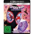 Spider-Man: Across the Spider-Verse - Sony Pictures Home Entertainment