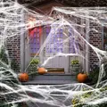 Toile d'Araignée avec Fausses Araignées pour Halloween Très Large Réaliste Super Commandée