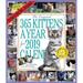 The Original 365 Kittens a Year 2019 Calendar