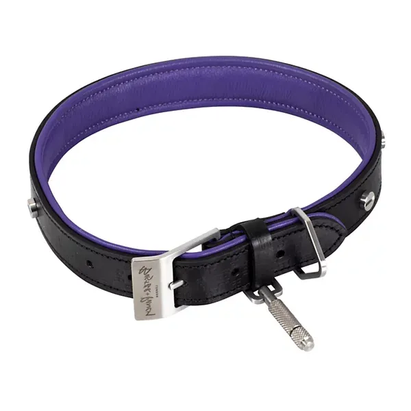 buster-+-punch-dog-collar---npa-02785/