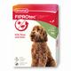 beaphar FIPROtec® | Large 20-40kg | Flea & Tick Spot-On For Dogs | 6 Pipettes