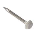 Seac SEAPP40WH Cladding Pins White A4 Ss 40Mm Box 250