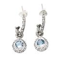 Cool Lake,'Blue Topaz and Sterling Silver Dangle Earrings'