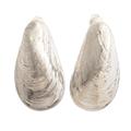 Choros,'Realistic Mussel Shell Earrings in Sterling Silver'