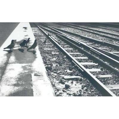 Rails,'Brazilian Railway Photo in B & W'