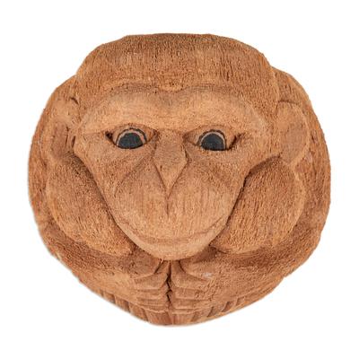 Monkey Nature,'Hand-Carved Monkey-Themed Coconut Shell Wall Planter'