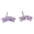 Purple Reign,'Polished Sterling Silver Stud Earrings with Amethyst Gems'