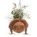 Pigtails,'Hand Carved Coconut Hanging Planter'