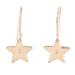 Winter Star,'Indian Cubic Zirconia Dangle Earrings with Star Motif'