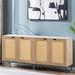 Bay Isle Home™ Frederik Iron 4 - Door Rattan Accent Cabinet Wood/Metal in Black/Brown/Gray | 30.1 H x 31.5 W x 13.7 D in | Wayfair