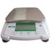 LAB SAFETY SUPPLY 30467951 Digital Compact Bench Scale 600g Capacity