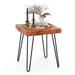 Costway Square End Table Accent Side Table Reclaimed Teak Wood Plant