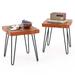 Costway Square End Table Accent Side Table Reclaimed Teak Wood Plant