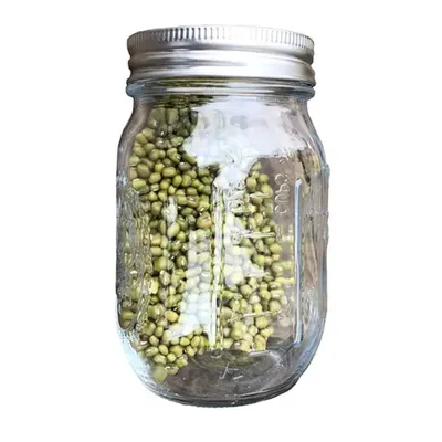 Pot germination avec couvercle en acier inoxydable 304 germoir à large bouche pour germoir