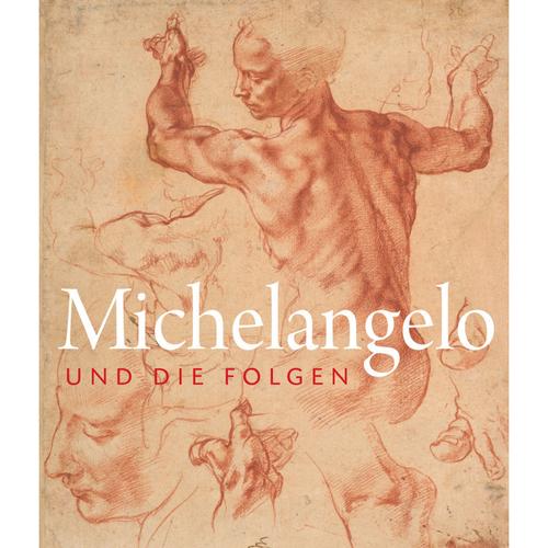 Michelangelo Und Die Folgen, Gebunden