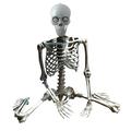 solacol Life Size Skeleton Halloween Decoration Halloween Skeleton Prop Human Full Size Skull Hand Life Body Anatomy Model Decor Full Size Skeleton Halloween Decoration