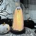 The Holiday Aisle® Halloween Decor-Halloween Decorations Indoor-Light Up Ghost | Wayfair 49AE45D619264C98B08624C82DC70D7D