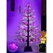 The Holiday Aisle® [Timer] 4Ft 70 LED Halloween Black Tree Decoration w/ Purple Lights | 48 H x 19.2 D in | Wayfair