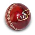 Lusum Munifex Cricket Ball By Sports Ball Shop - Youth / Red