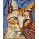 CROSS STITCH KIT- Cat 21cm x26cm