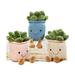 3pcs Succulent Plush Toy Potted Plants Plush Doll Simulation Succulent Plushies Home Decoration Stuffed Soft Plushies (Pink+Khaki+Blue)