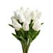 Primrue Tulip Stems, Bushes, & Sprays Arrangement in Pink/White | 13.5 H x 4 W x 4 D in | Wayfair 6D9AE5A9D19241F8AA69988E035073AB
