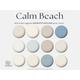 Sherwin Williams Paint Palette: Calm Beach, Sherwin Williams Coastal Beachy, House Paint Palette, Interior Color Palette, Neutral Paint