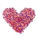 800PC 10MM Five-petal Flower Sequins PVC Clothing Decor Sequin Jewelry Accessories Clothes Patches for Hat Pants Coat Decoration (Bright Double-sided Rosy)