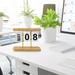 solacol Desk Accessories for Women Office Wooden Perpetual Desk Calendar Flip Calender for Desk Office Decor Creative Month Date Display for Women Home Office Desktop Accessories Photo Props