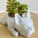 Dog Succulent Planter Resin Dog Succulent Planter Mini Puppy Air Plant Planter French Bulldog Shape Cute Bonsai Flower Pots for Home Garden Office Desktop Decor (No Plants) White