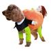 Biplut Halloween Pet Costume Cute Pumpkin Design Comfortable Eye-catching Cat Dog Clothes for Home Party Decor (2XL)