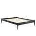 Modway June Upholstered Bed Upholstered in White/Black | 58 H x 64 W x 85.5 D in | Wayfair 889654164661